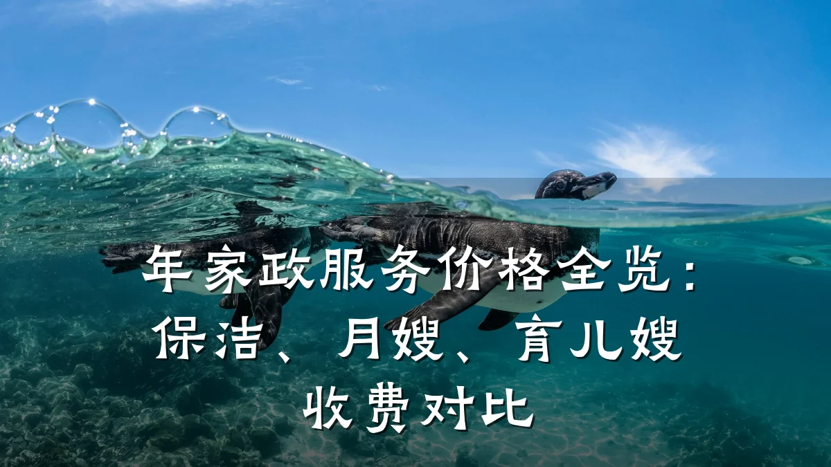 年家政服务价格全览:保洁、月嫂、育儿嫂收费对比