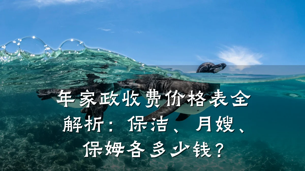 年家政收费价格表全解析：保洁、月嫂、保姆各多少钱？