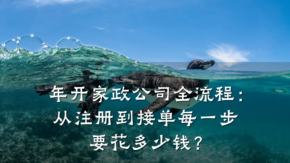 年开家政公司全流程:从注册到接单每一步要花多少钱?