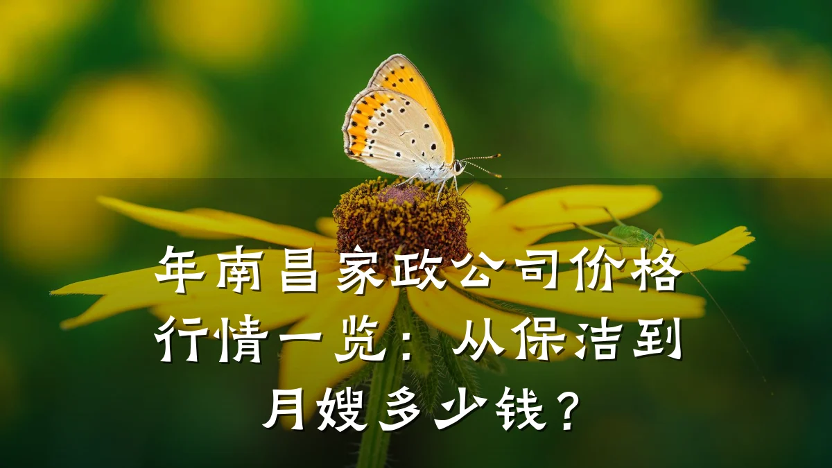 年南昌家政公司价格行情一览:从保洁到月嫂多少钱?