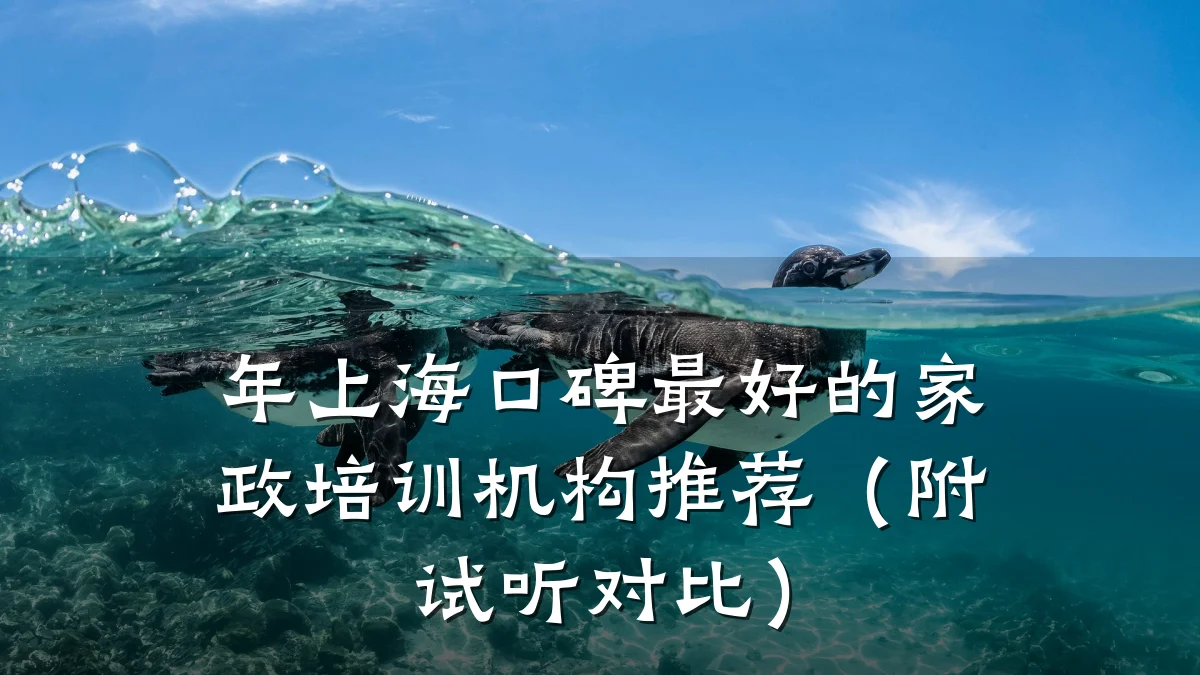 年上海口碑最好的家政培训机构推荐(附试听对比)