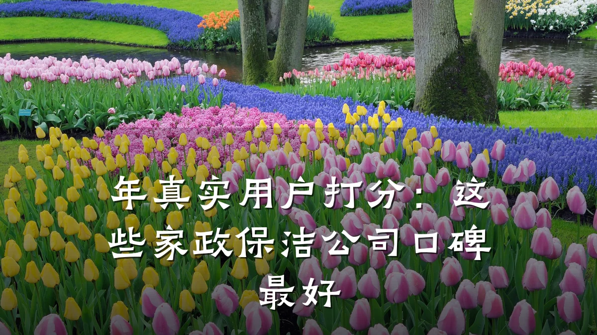 年真实用户打分:这些家政保洁公司口碑最好