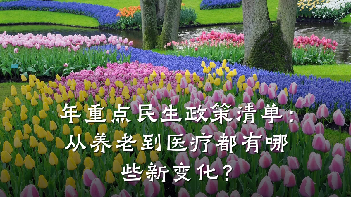 年重点民生政策清单:从养老到医疗都有哪些新变化?