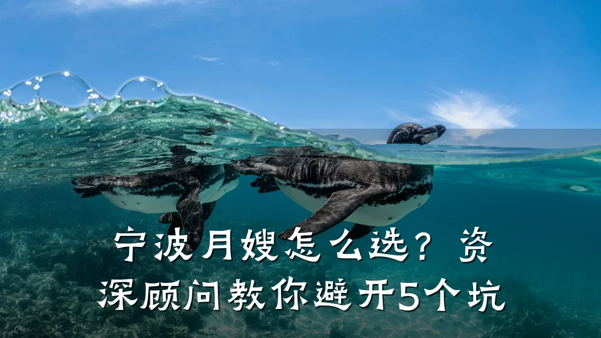 宁波月嫂怎么选？资深顾问教你避开5个坑