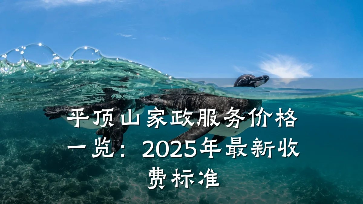 平顶山家政服务价格一览:2025年最新收费标准
