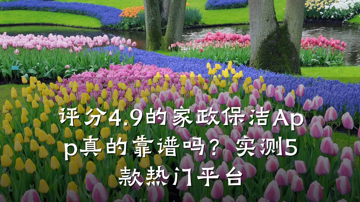 评分4.9的家政保洁App真的靠谱吗?实测5款热门平台