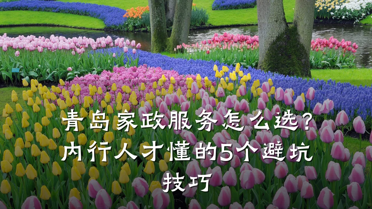 青岛家政服务怎么选？内行人才懂的5个避坑技巧