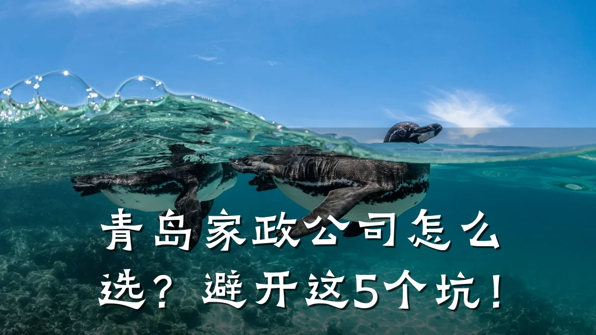 青岛家政公司怎么选？避开这5个坑！