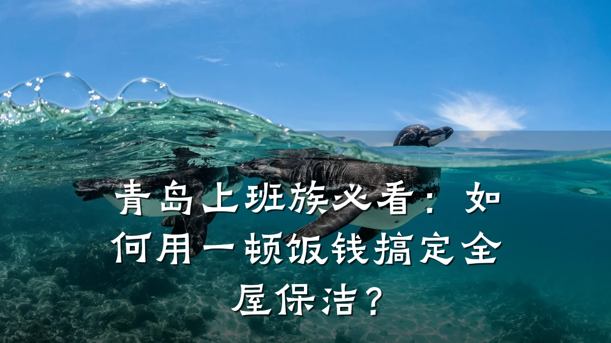 青岛上班族必看:如何用一顿饭钱搞定全屋保洁?
