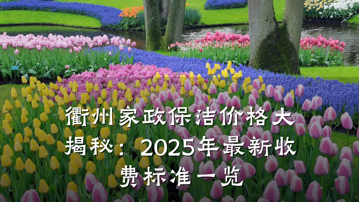 衢州家政保洁价格大揭秘:2025年最新收费标准一览