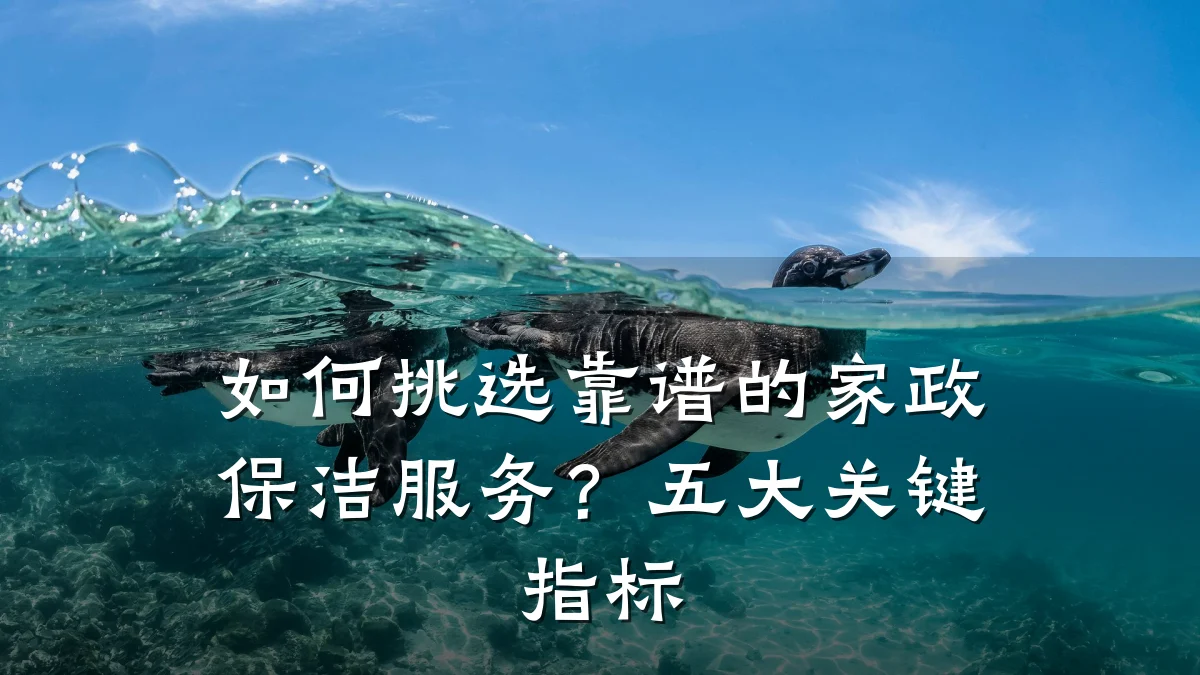 如何挑选靠谱的家政保洁服务?五大关键指标