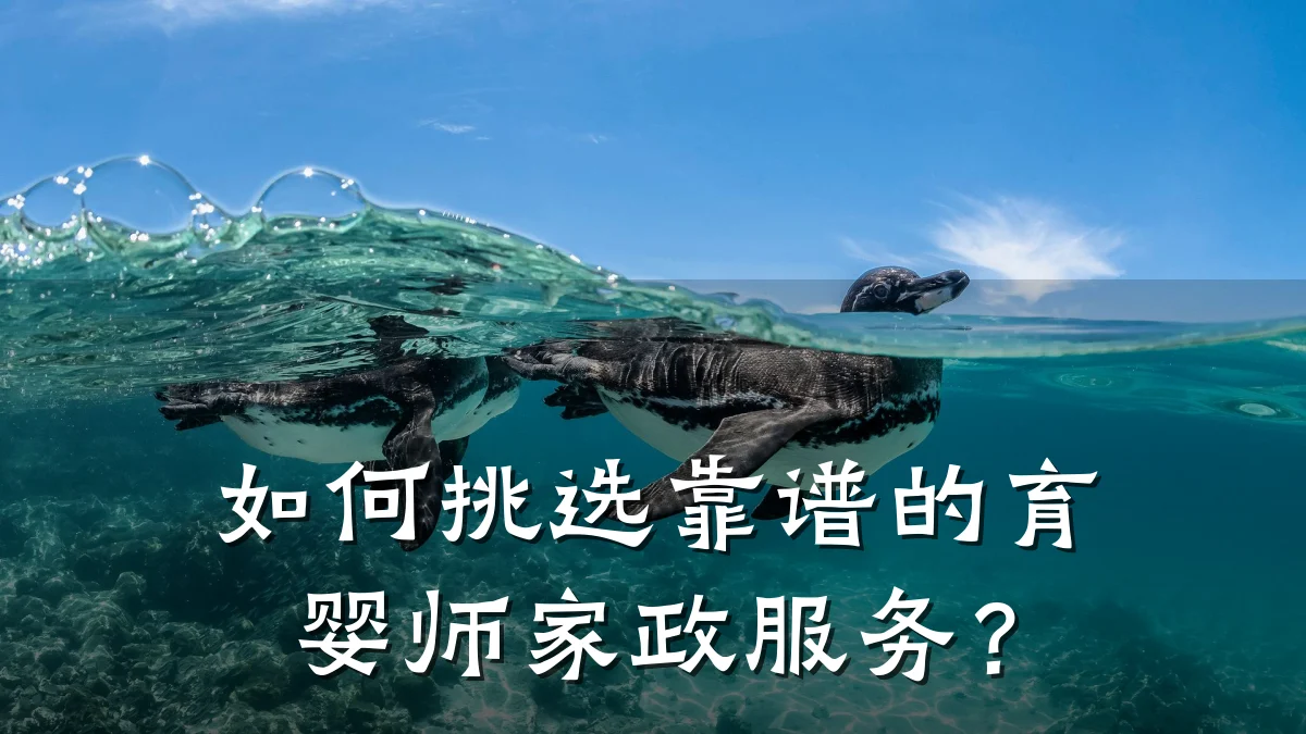 如何挑选靠谱的育婴师家政服务？