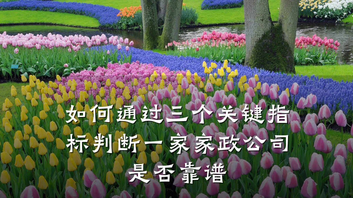 如何通过三个关键指标判断一家家政公司是否靠谱