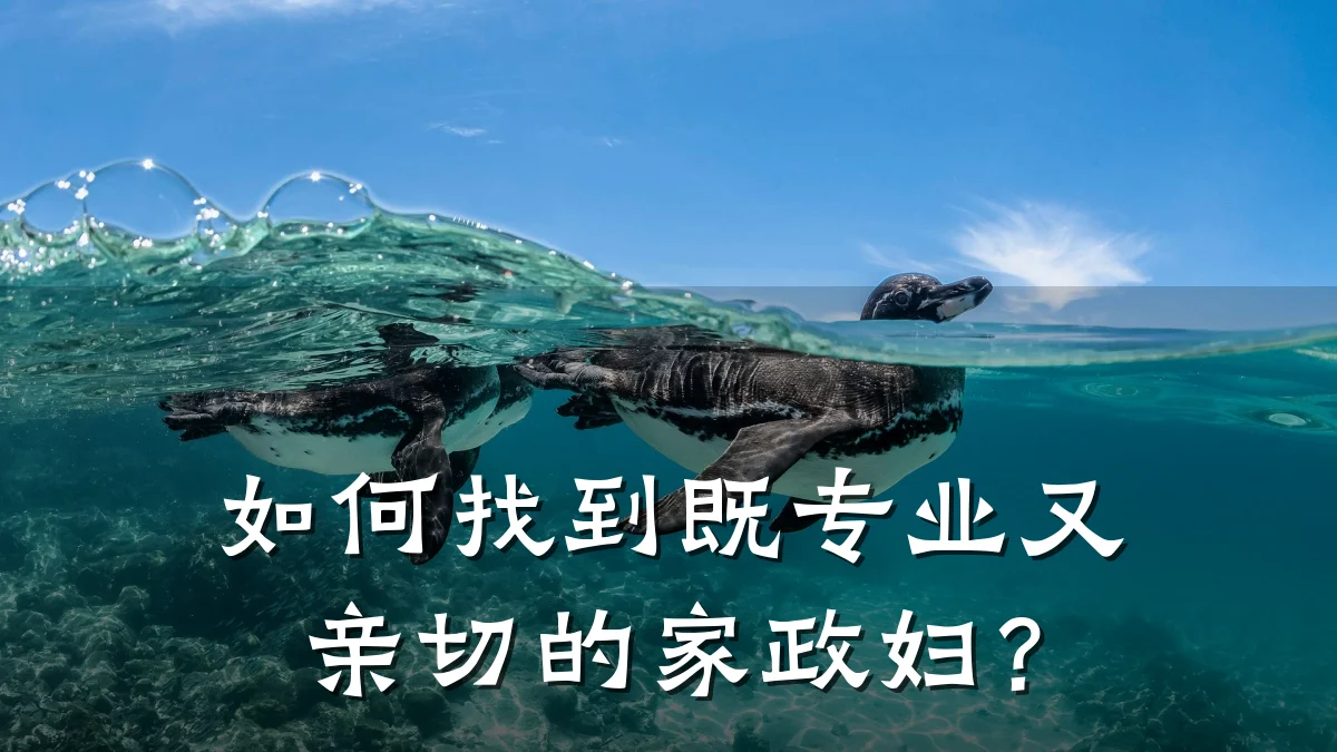 如何找到既专业又亲切的家政妇？