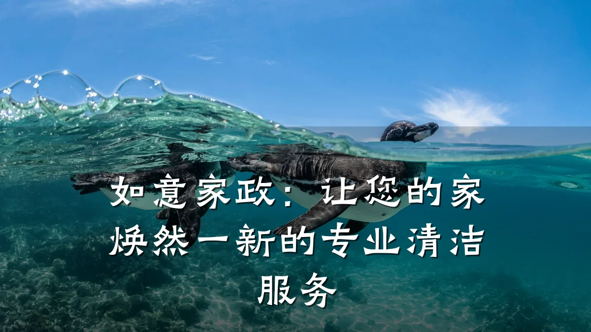 如意家政：让您的家焕然一新的专业清洁服务