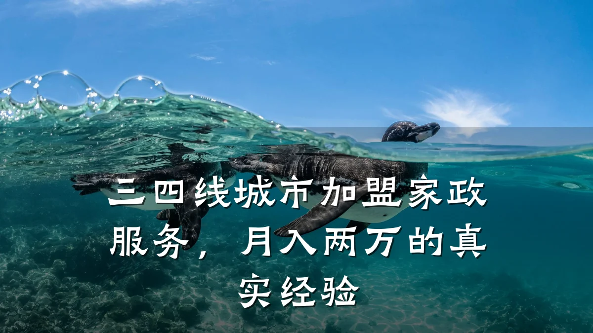 三四线城市加盟家政服务,月入两万的真实经验