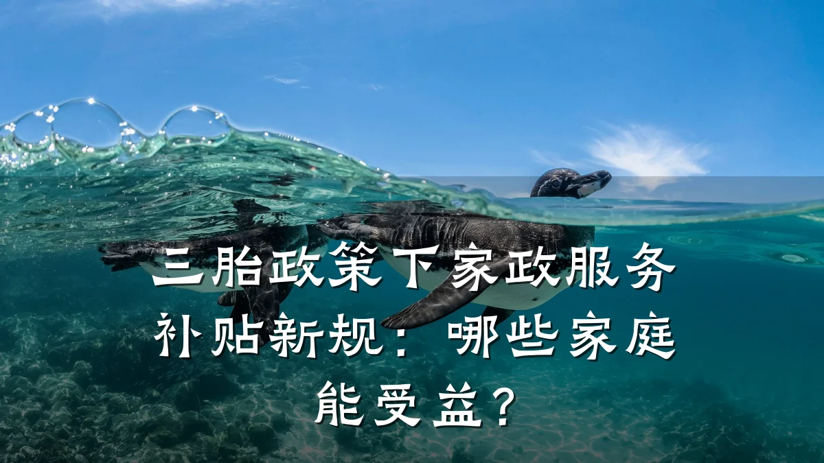 三胎政策下家政服务补贴新规:哪些家庭能受益?