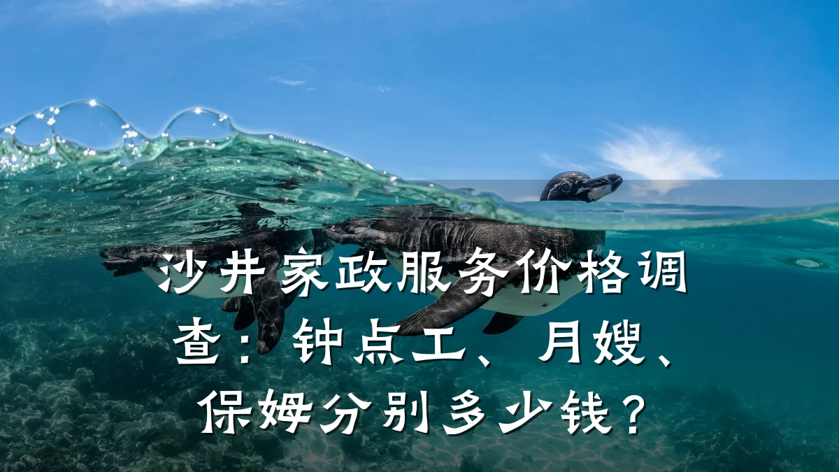 沙井家政服务价格调查：钟点工、月嫂、保姆分别多少钱？