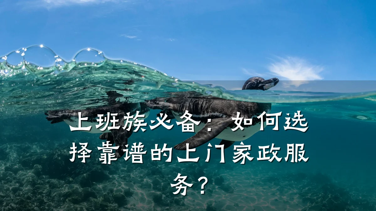 上班族必备:如何选择靠谱的上门家政服务?