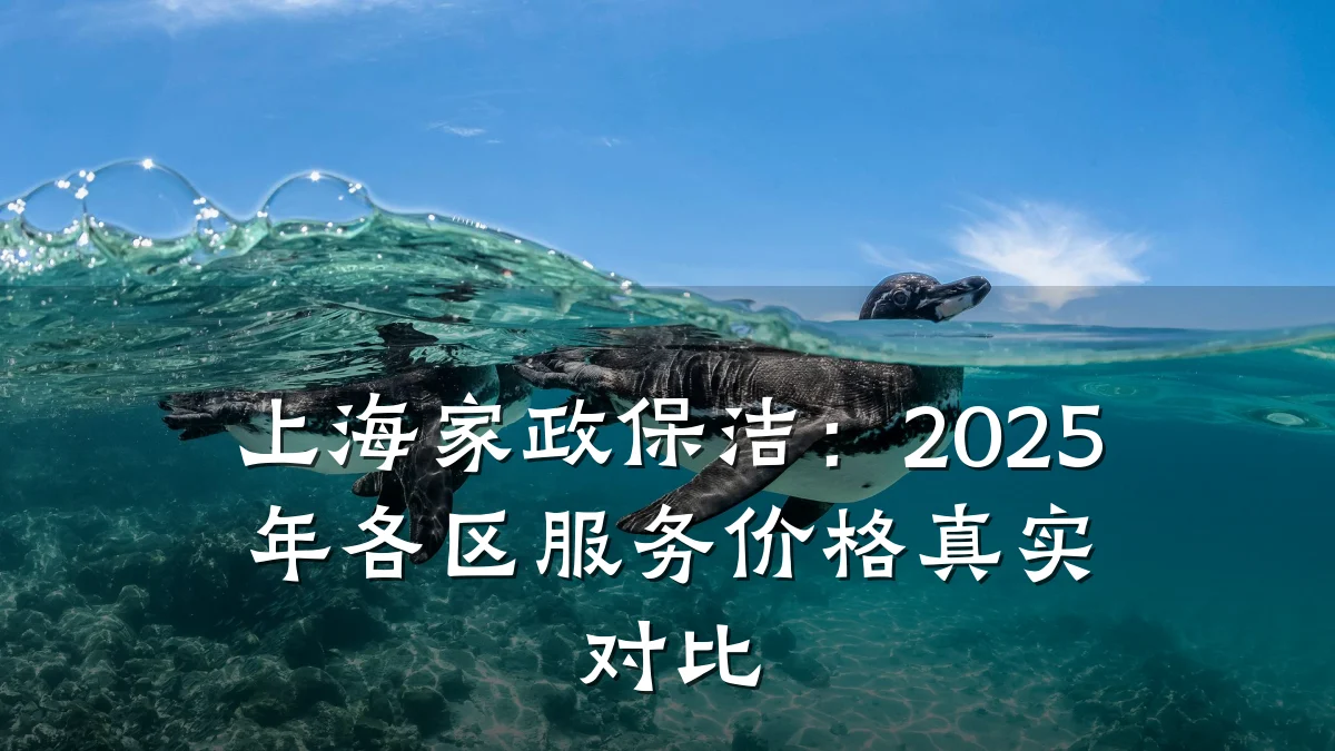 上海家政保洁:2025年各区服务价格真实对比
