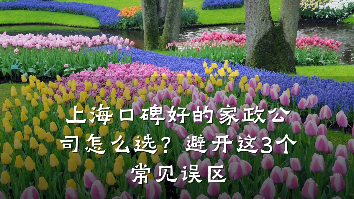 上海口碑好的家政公司怎么选?避开这3个常见误区