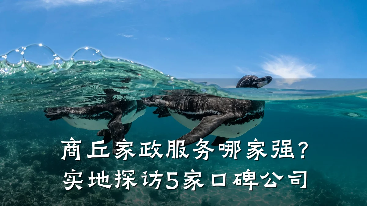 商丘家政服务哪家强?实地探访5家口碑公司