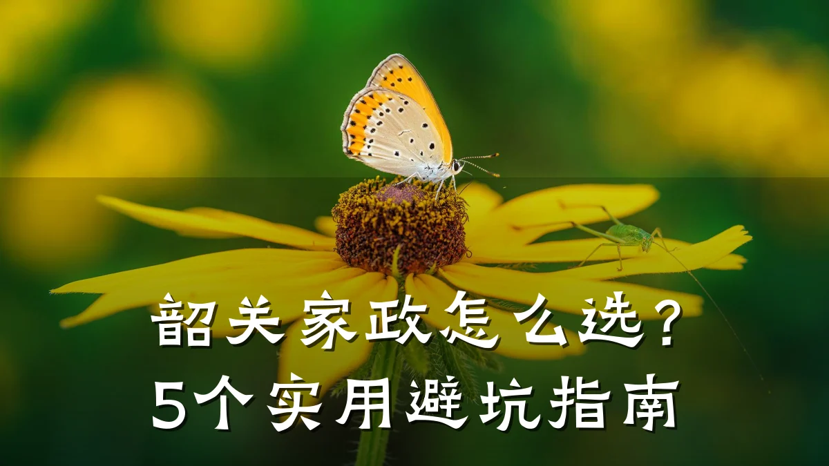 韶关家政怎么选?5个实用避坑指南