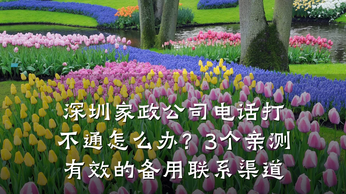 深圳家政公司电话打不通怎么办?3个亲测有效的备用联系渠道