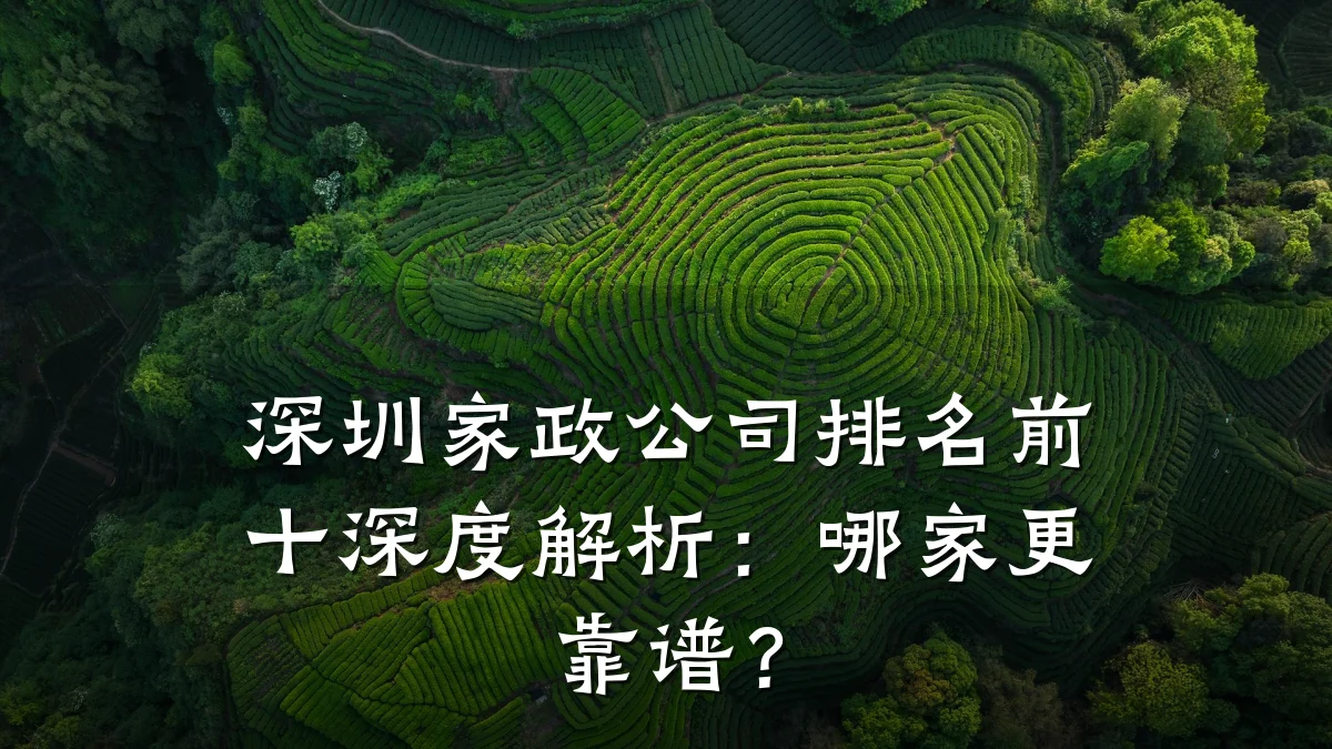 深圳家政公司排名前十深度解析:哪家更靠谱?