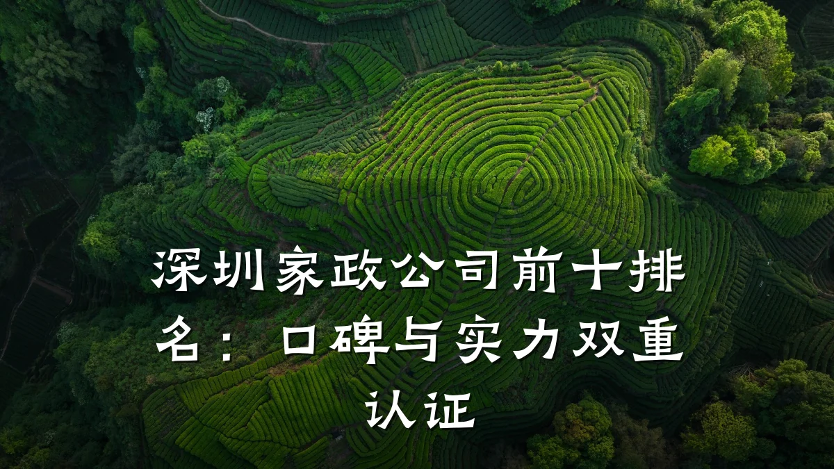 深圳家政公司前十排名:口碑与实力双重认证