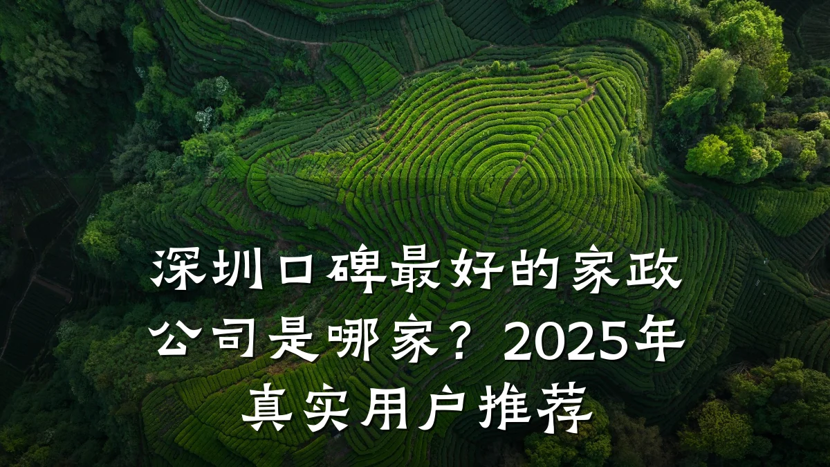 深圳口碑最好的家政公司是哪家?2025年真实用户推荐