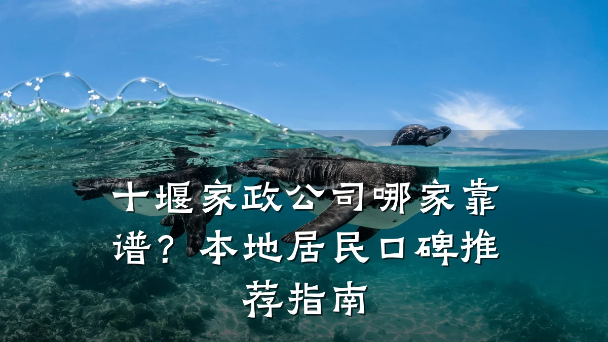 十堰家政公司哪家靠谱?本地居民口碑推荐指南