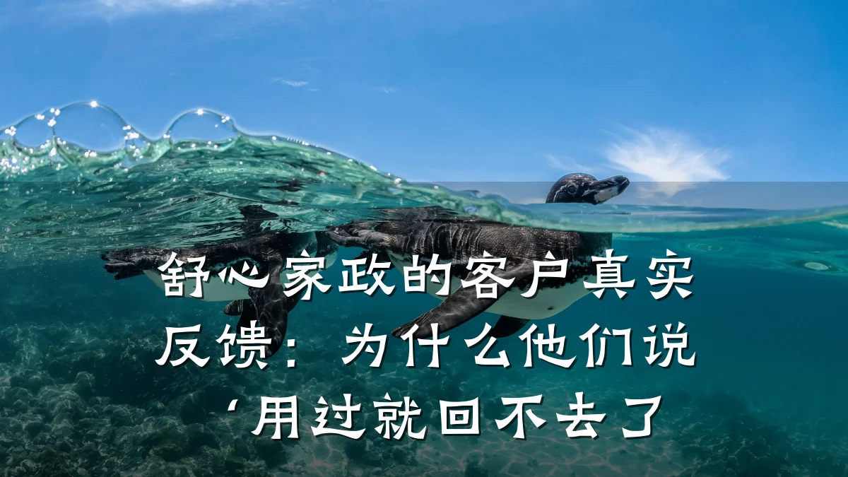 舒心家政的客户真实反馈:为什么他们说‘用过就回不去了