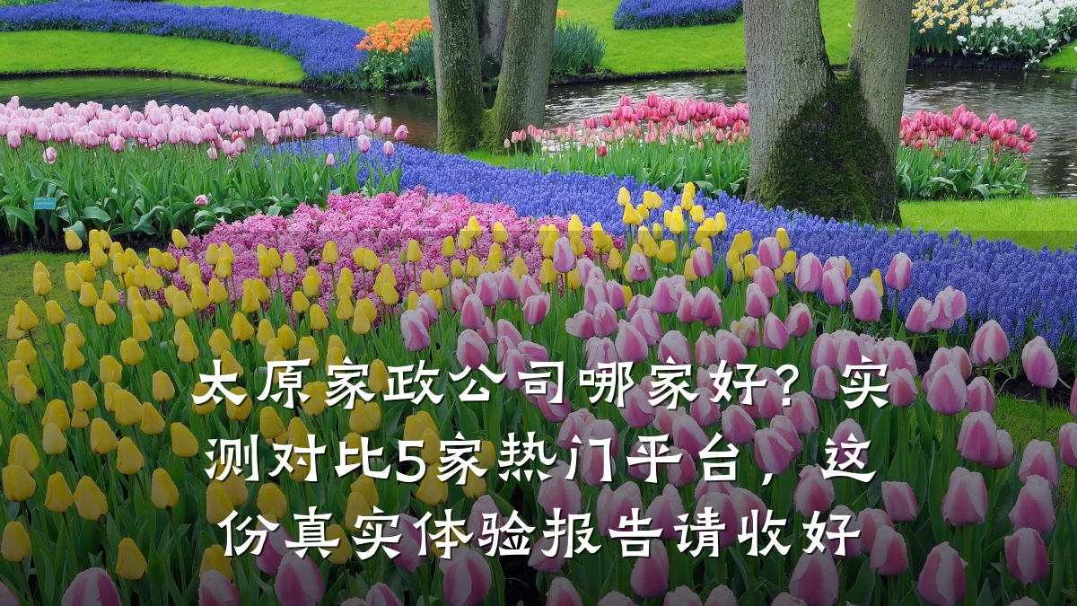 太原家政公司哪家好?实测对比5家热门平台,这份真实体验报告请收好