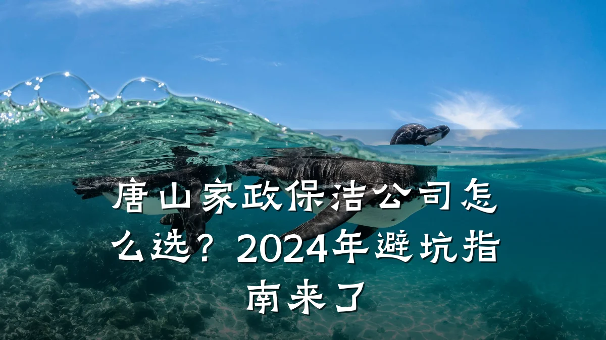 唐山家政保洁公司怎么选?2024年避坑指南来了