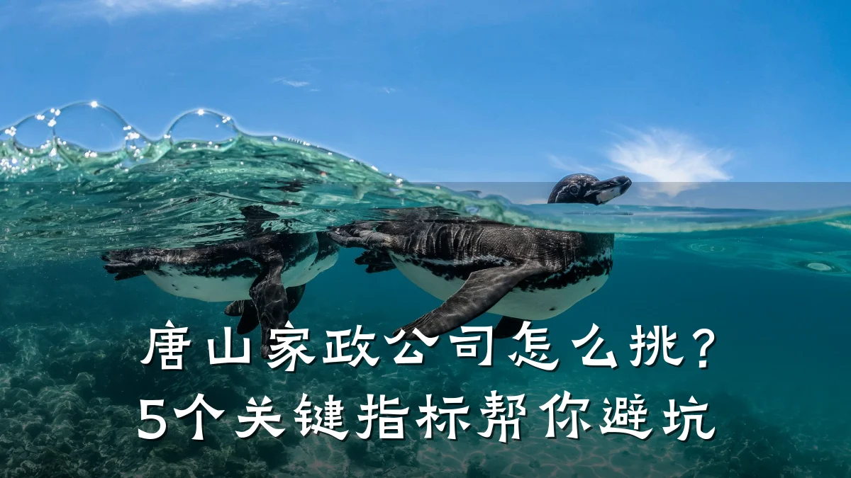 唐山家政公司怎么挑？5个关键指标帮你避坑