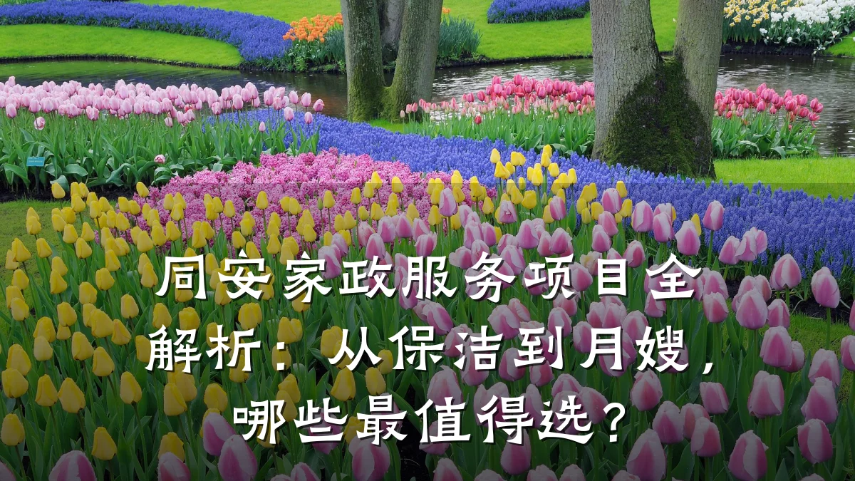 同安家政服务项目全解析:从保洁到月嫂,哪些最值得选?