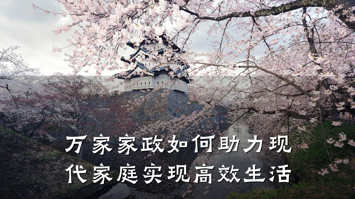 万家家政如何助力现代家庭实现高效生活
