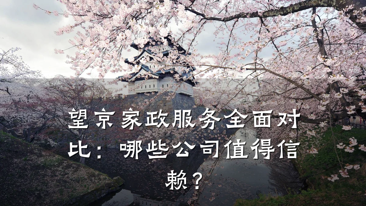 望京家政服务全面对比:哪些公司值得信赖?