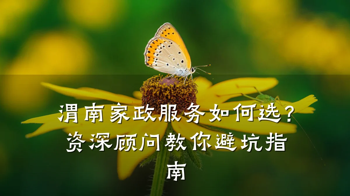 渭南家政服务如何选?资深顾问教你避坑指南