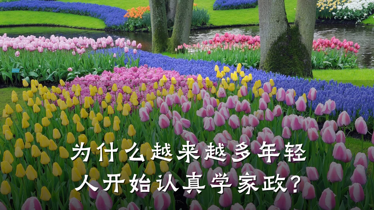 为什么越来越多年轻人开始认真学家政？
