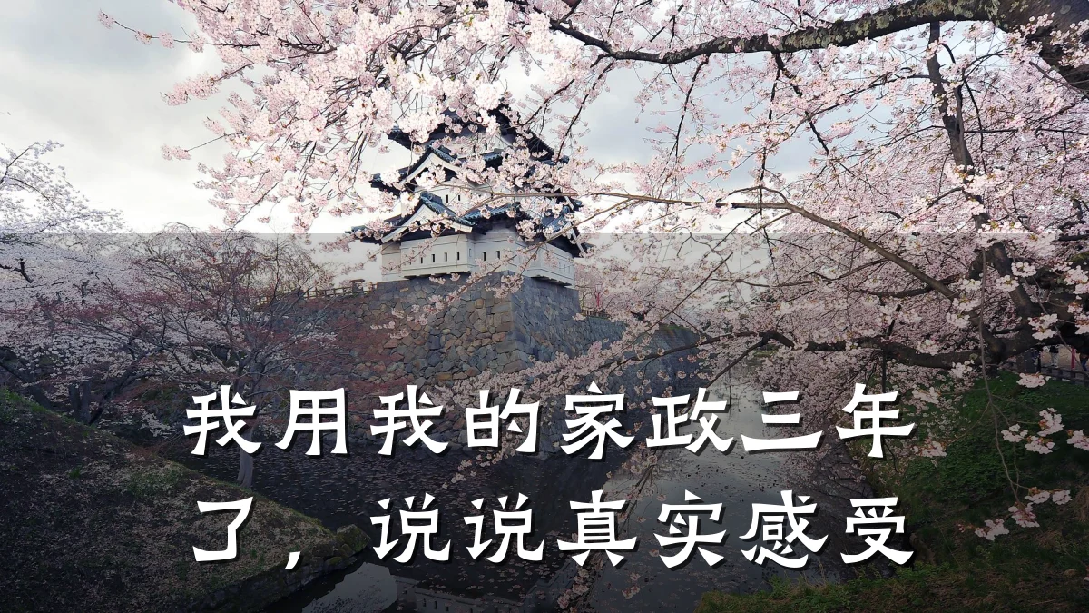 我用我的家政三年了,说说真实感受