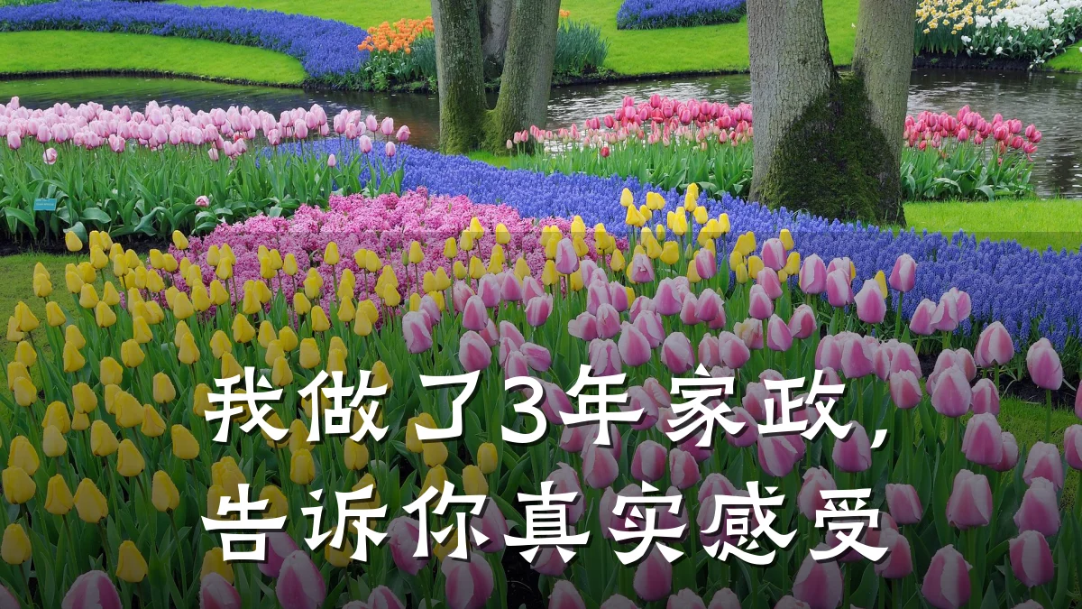 我做了3年家政,告诉你真实感受