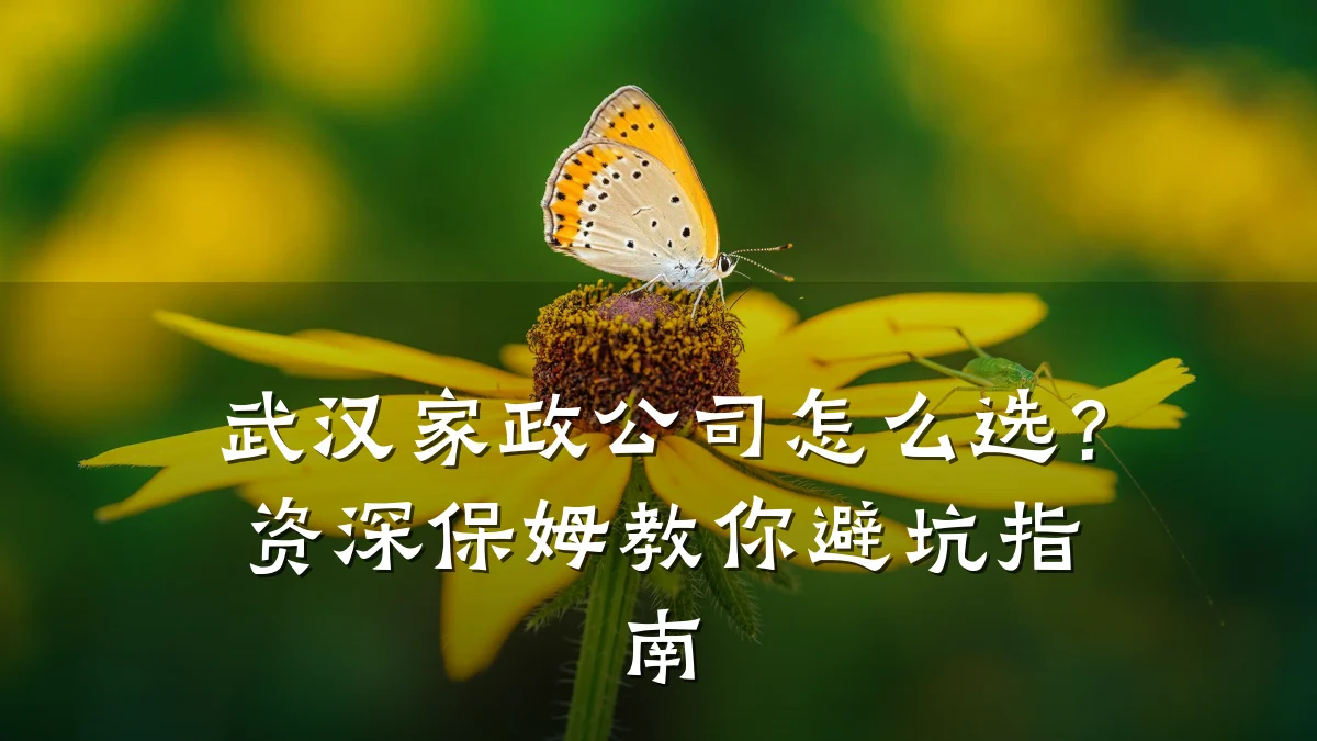 武汉家政公司怎么选?资深保姆教你避坑指南