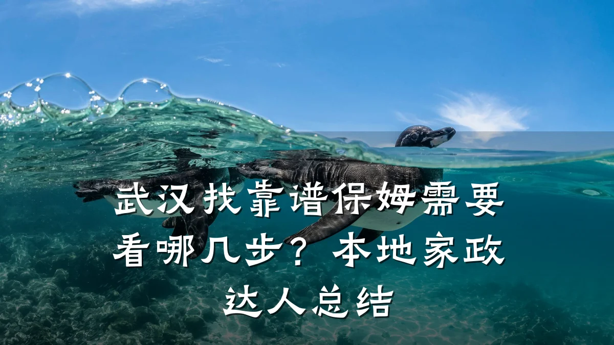 武汉找靠谱保姆需要看哪几步?本地家政达人总结