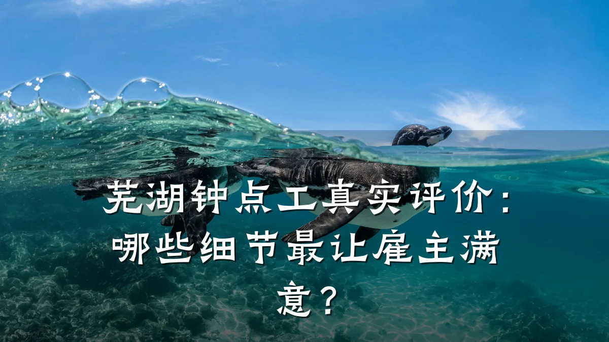 芜湖钟点工真实评价:哪些细节最让雇主满意?