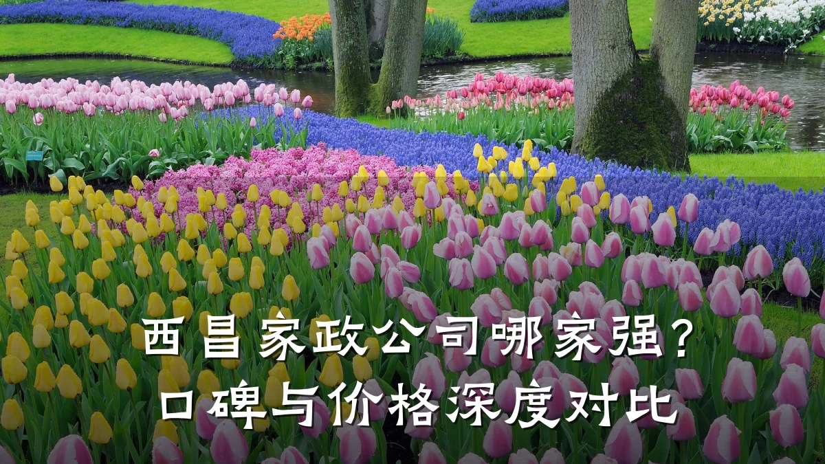 西昌家政公司哪家强?口碑与价格深度对比