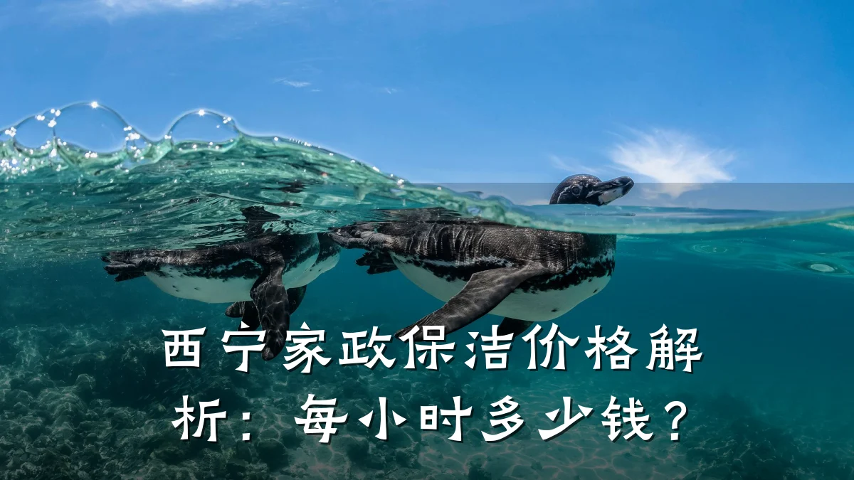 西宁家政保洁价格解析:每小时多少钱?