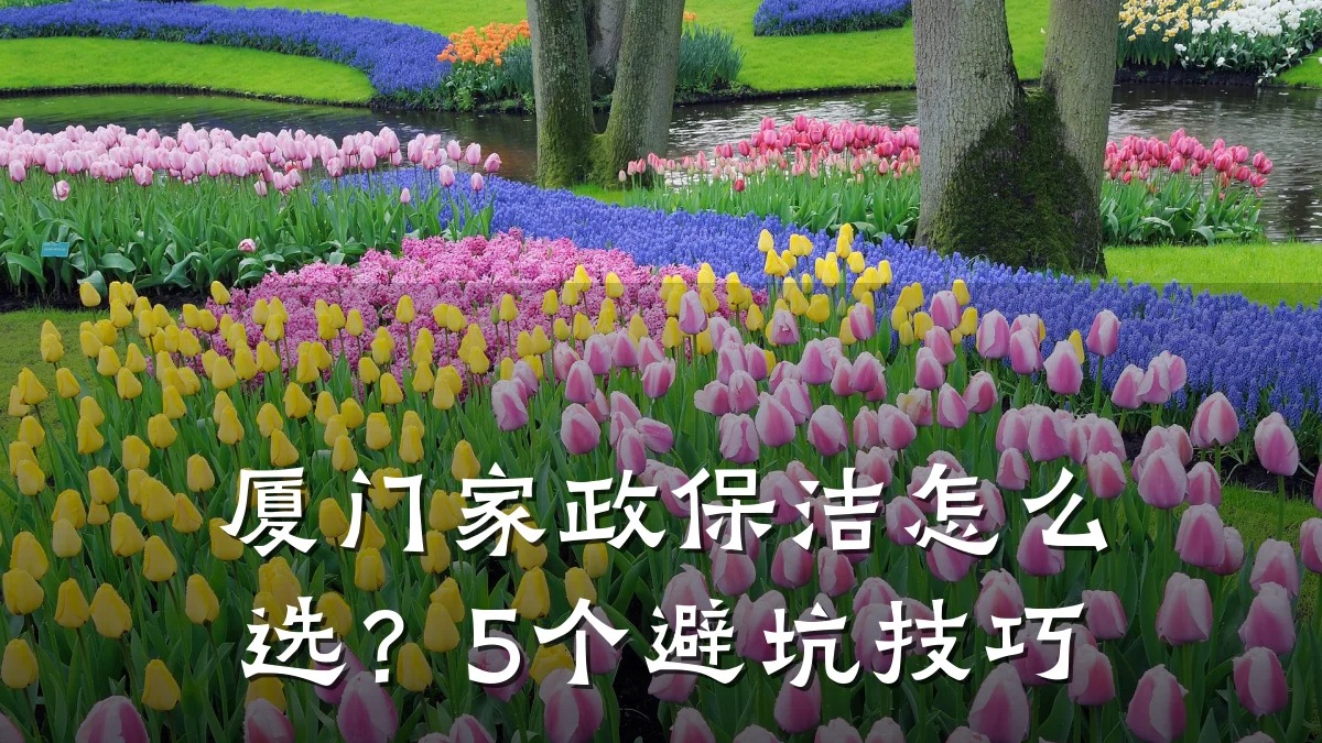 厦门家政保洁怎么选？5个避坑技巧