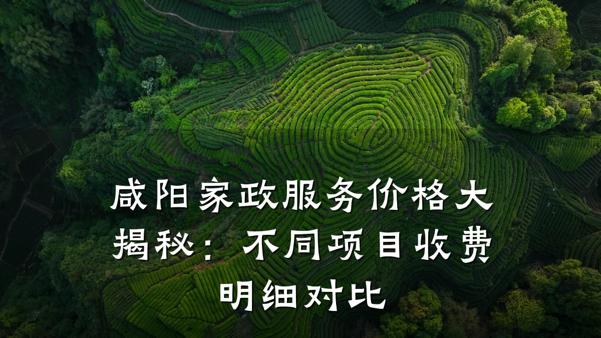 咸阳家政服务价格大揭秘：不同项目收费明细对比